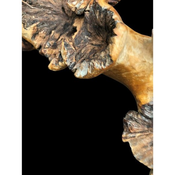 Hand-Carved Wooden Snake Sculpture On Seed Pod Root Base 15" Length - Picture 12 of 16